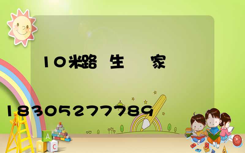 10米路燈生產廠家