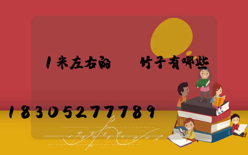 1米左右的觀賞竹子有哪些