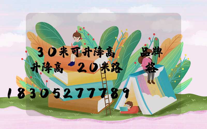 30米可升降高桿燈品牌(升降高桿20米路燈價格)