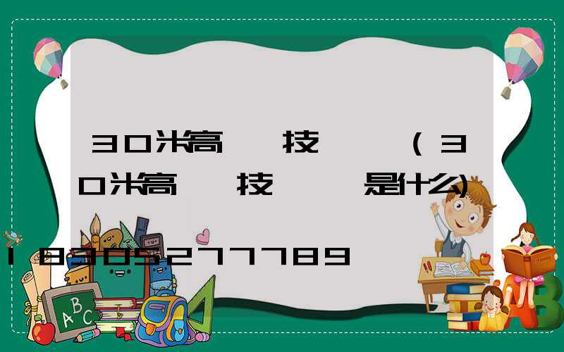 30米高桿燈技術參數(30米高桿燈技術參數是什么)