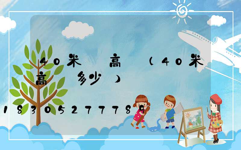 40米碼頭高桿燈(40米高桿燈多少錢)