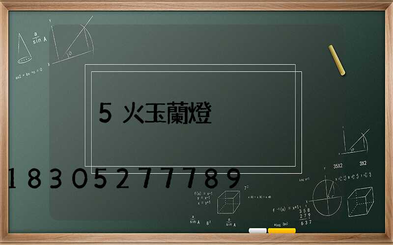 5火玉蘭燈