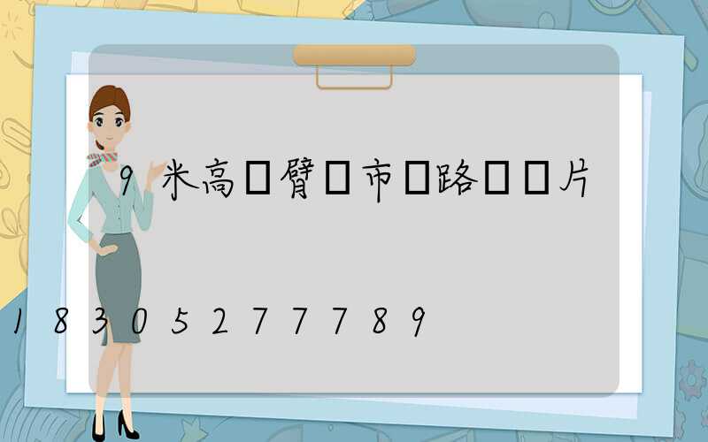 9米高單臂桿市電路燈圖片