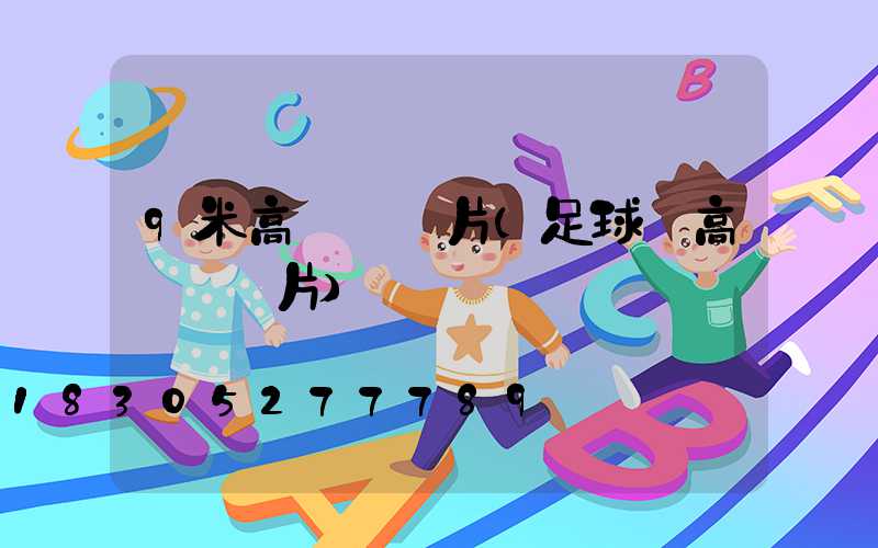 9米高桿燈圖片(足球場高桿燈圖片)