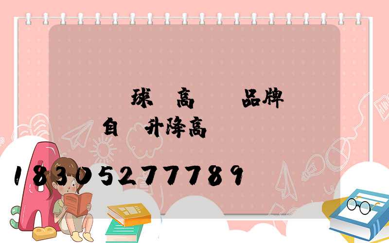 led球場高桿燈品牌(led自動升降高桿燈)