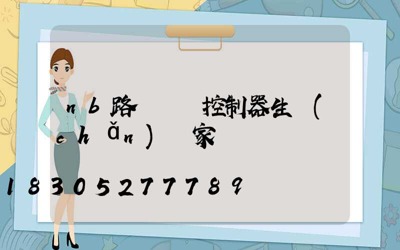 nb路燈單燈控制器生產(chǎn)廠家