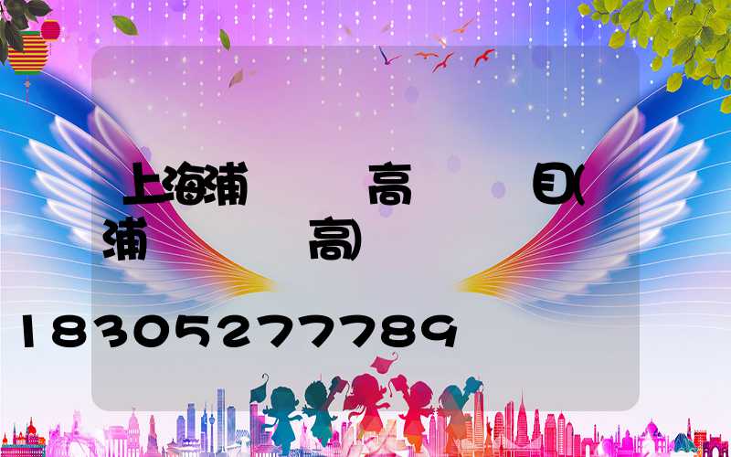 上海浦東機場高桿燈項目(浦東機場標高)