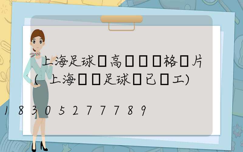 上海足球場高桿燈價格圖片(上海專業足球場已開工)