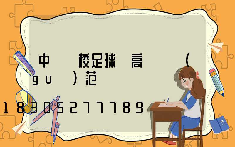 中學學校足球場高桿燈規(guī)范