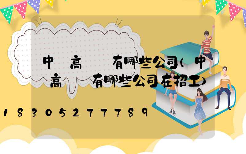中寧高桿燈有哪些公司(中寧高桿燈有哪些公司在招工)