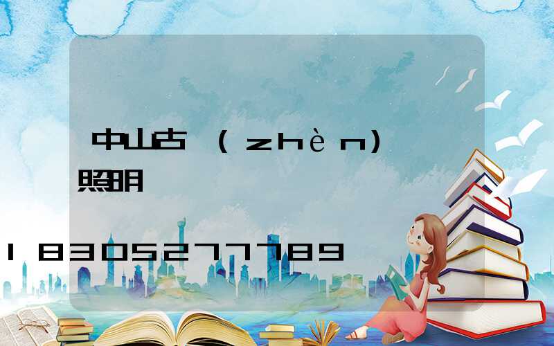 中山古鎮(zhèn)燈飾照明廠