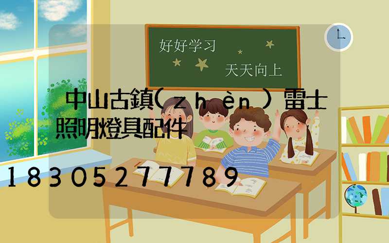 中山古鎮(zhèn)雷士照明燈具配件