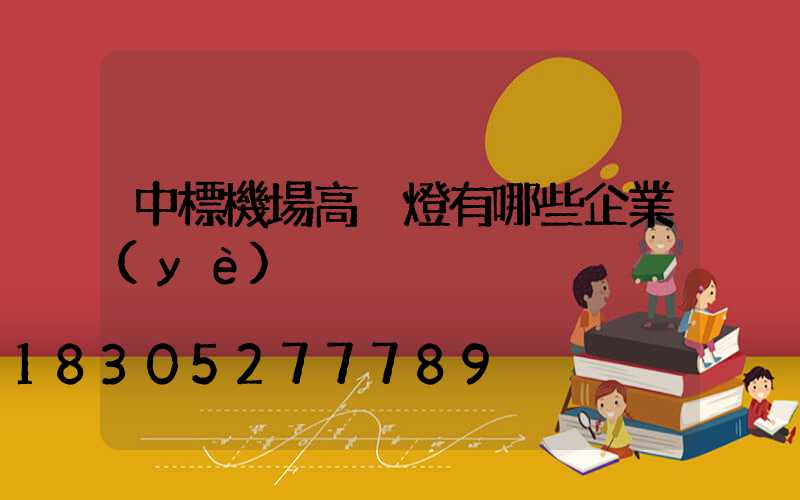 中標機場高桿燈有哪些企業(yè)