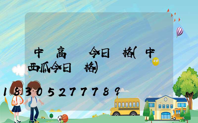 中衛高桿燈今日價格(中衛西瓜今日價格)