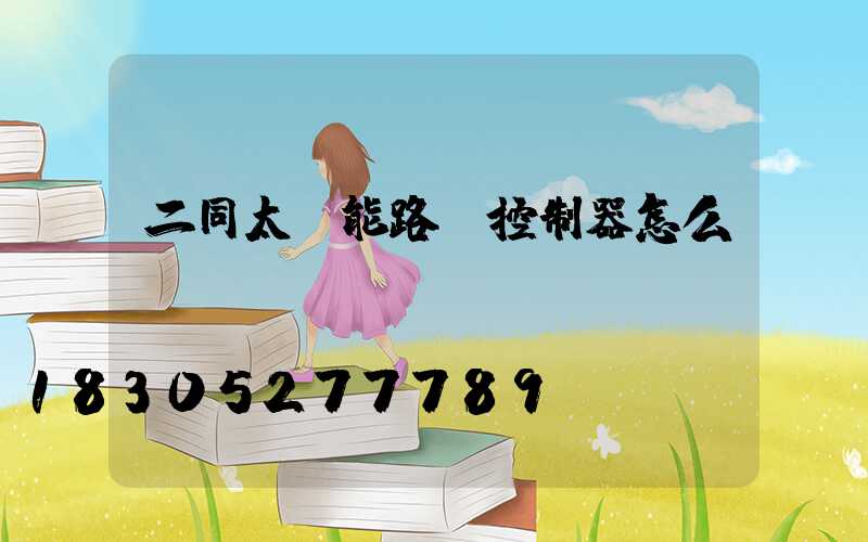 二同太陽能路燈控制器怎么調