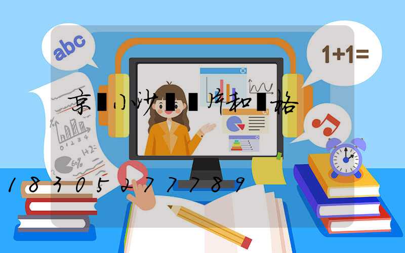 京東小沙發圖片和價格