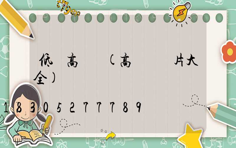 低價高桿燈(高桿燈圖片大全)