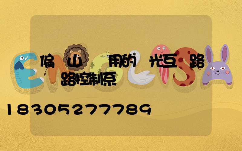 偏遠山區專用的風光互補路燈電路控制系統