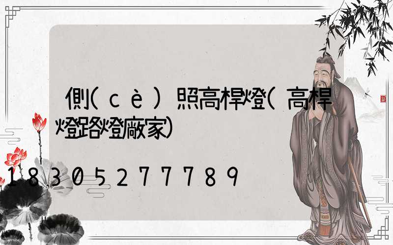 側(cè)照高桿燈(高桿燈路燈廠家)