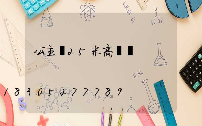 公主嶺25米高桿燈