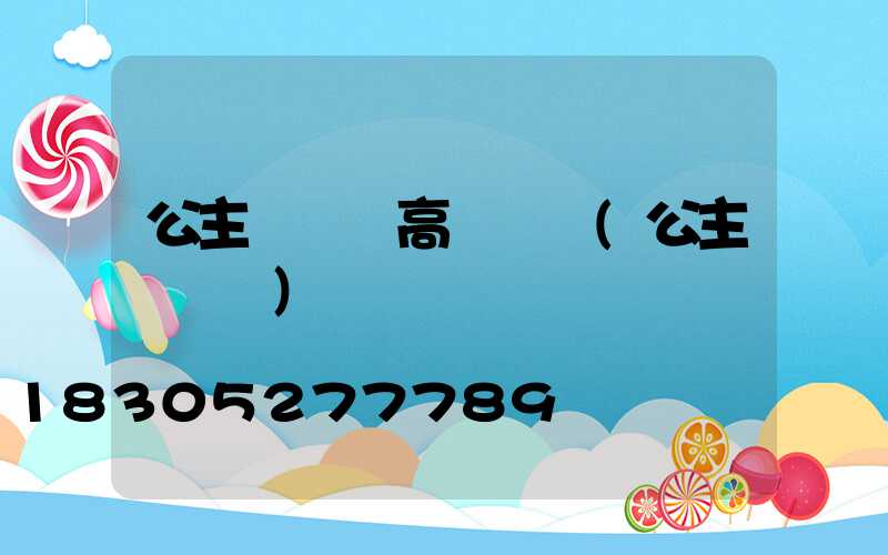 公主嶺優質高桿燈廠(公主嶺燈會)