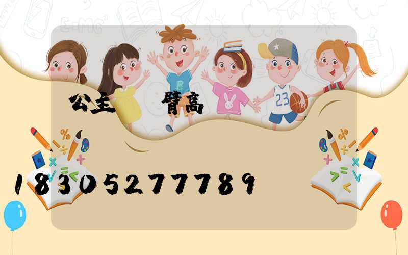 公主嶺單臂高桿燈