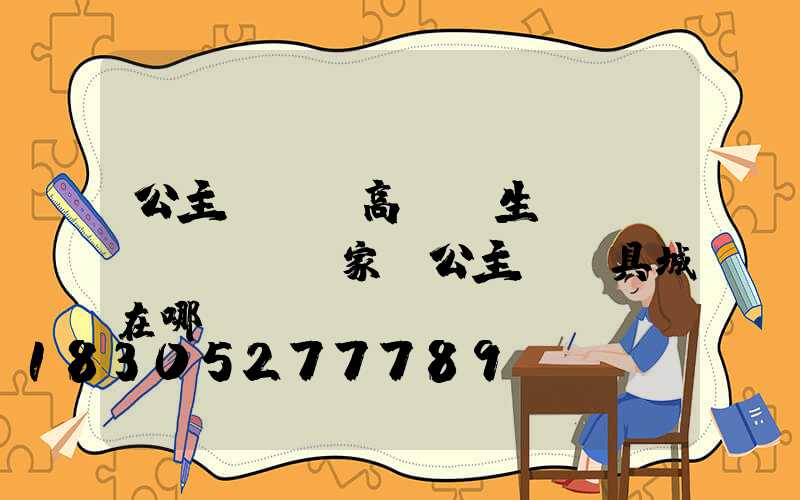 公主嶺廣場高桿燈生產(chǎn)廠家(公主嶺燈具城在哪)