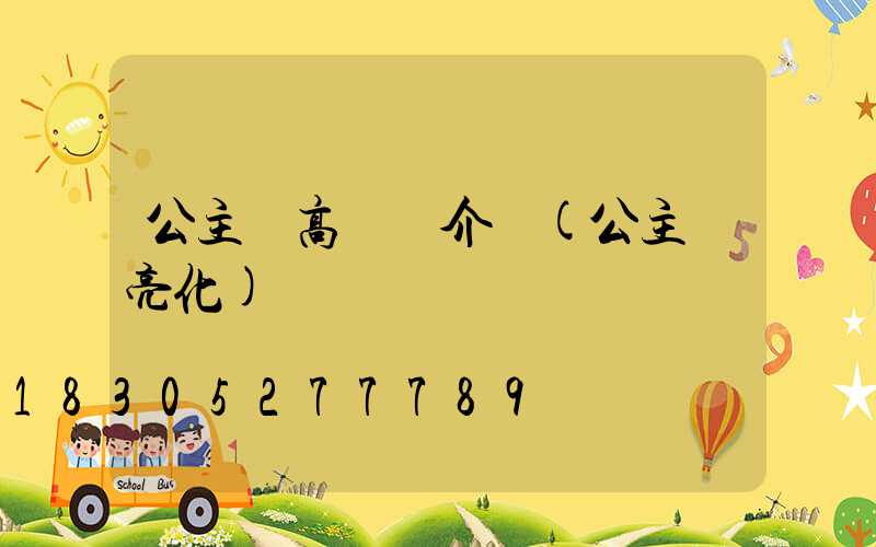 公主嶺高桿燈介紹(公主嶺亮化)