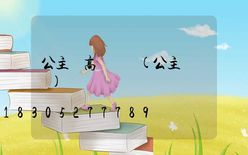 公主嶺高桿燈廠(公主嶺網紅)