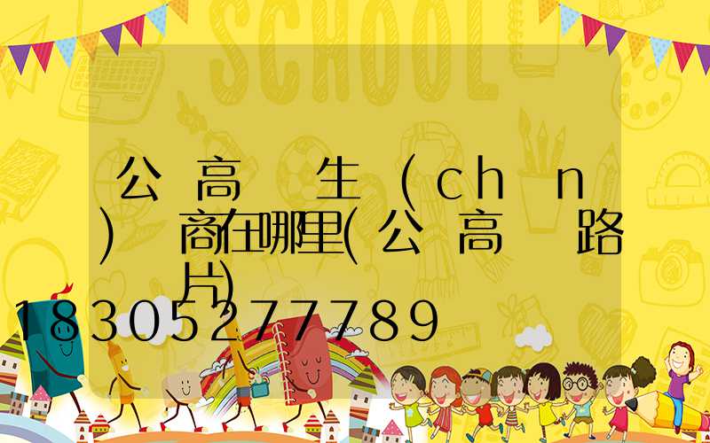 公園高桿燈生產(chǎn)廠商在哪里(公園高桿燈路燈圖片)