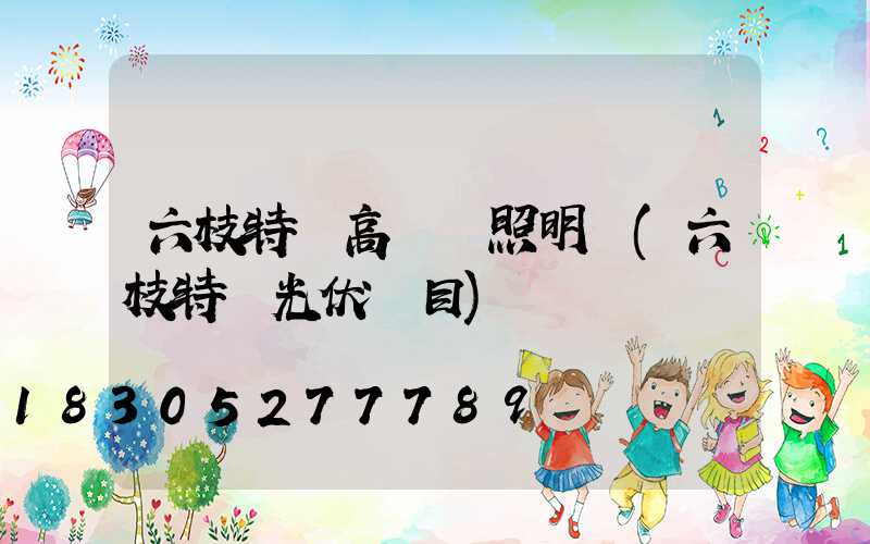 六枝特區高桿燈照明廠(六枝特區光伏項目)