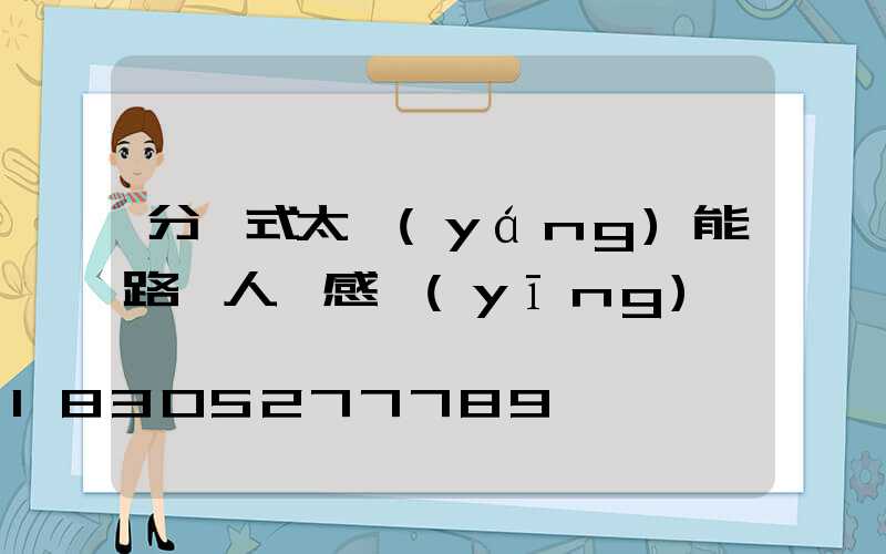 分體式太陽(yáng)能路燈人體感應(yīng)