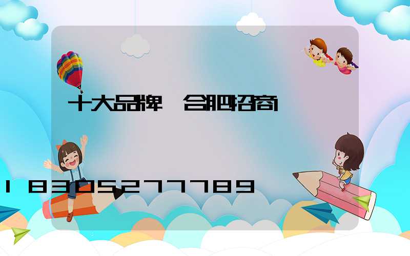 十大品牌復合肥招商