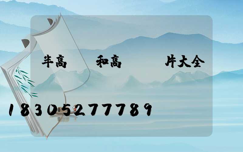 半高桿燈和高桿燈圖片大全