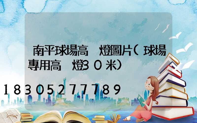 南平球場高桿燈圖片(球場專用高桿燈30米)
