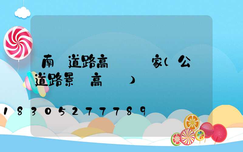 南陽道路高桿燈廠家(公園道路景觀高桿燈)