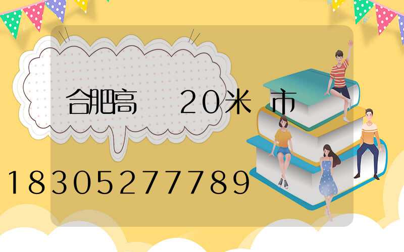 合肥高桿燈20米門市價