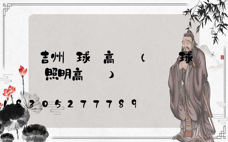 吉州區球場高桿燈(廣場球場照明高桿燈)