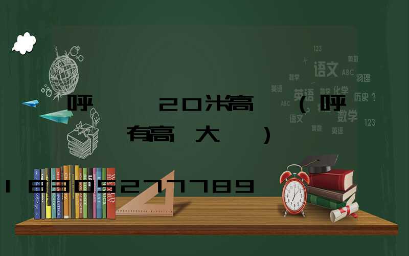 呼倫貝爾20米高桿燈(呼倫貝爾有高樓大廈嗎)