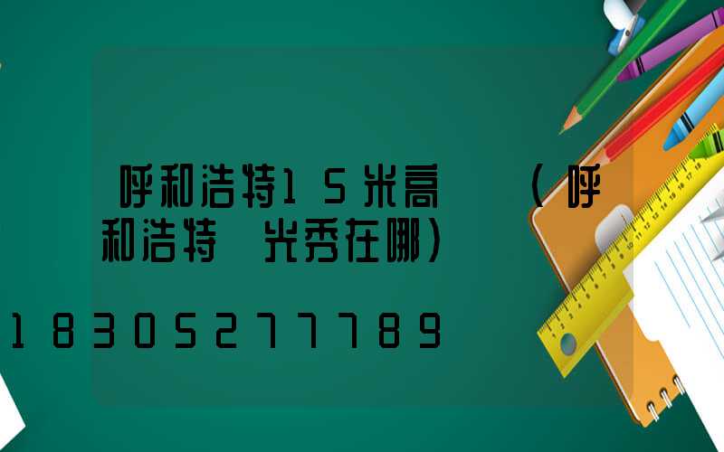 呼和浩特15米高桿燈(呼和浩特燈光秀在哪)