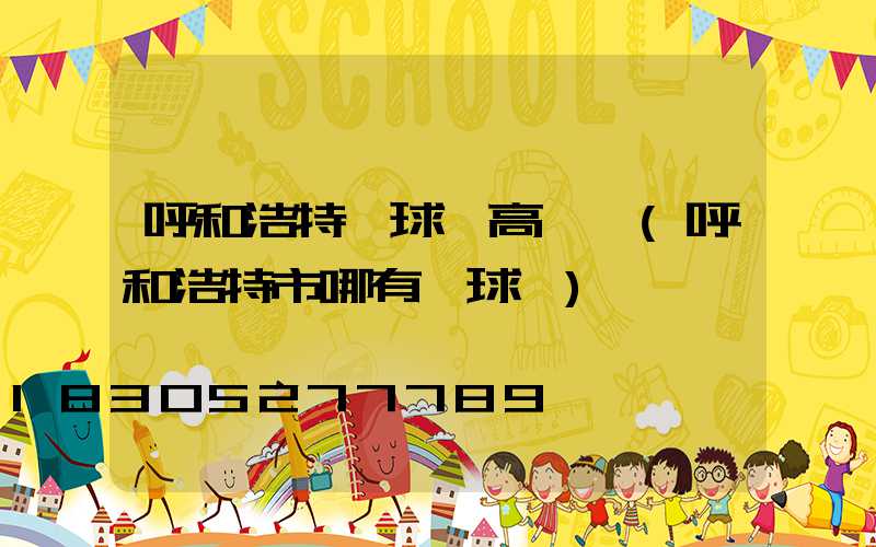 呼和浩特網球場高桿燈(呼和浩特市哪有網球館)