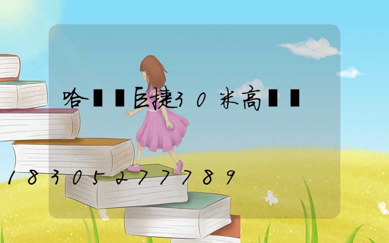 哈爾濱巨捷30米高桿燈