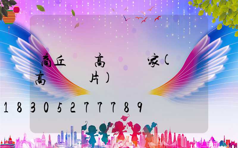 商丘機場高桿燈廠家(機場高桿燈圖片)