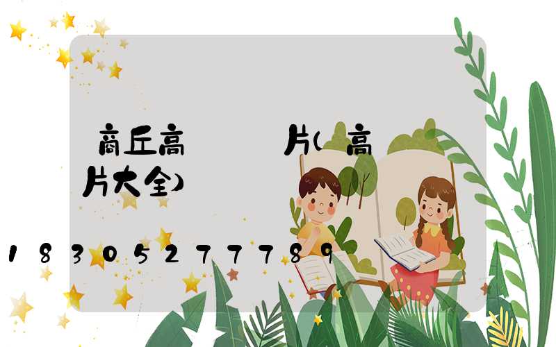 商丘高桿燈圖片(高桿燈圖片大全)