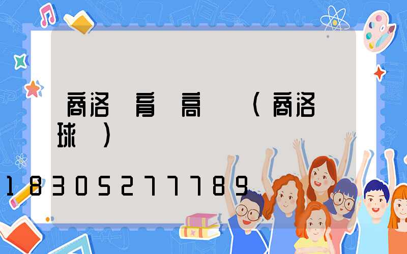 商洛體育場高桿燈(商洛籃球場)