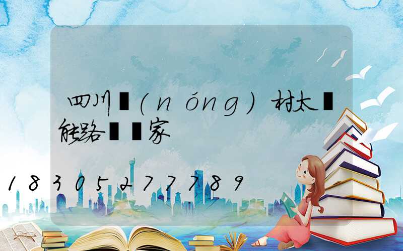 四川農(nóng)村太陽能路燈廠家