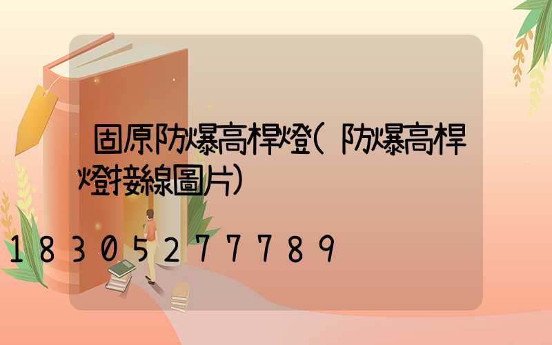 固原防爆高桿燈(防爆高桿燈接線圖片)