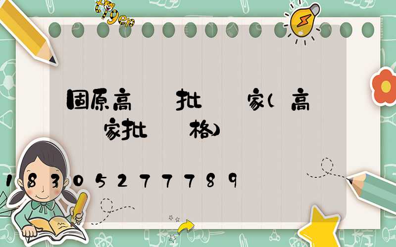 固原高桿燈批發廠家(高桿燈廠家批發價格)