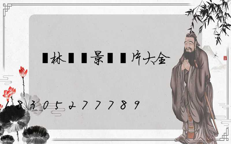 園林鐵藝景觀圖片大全