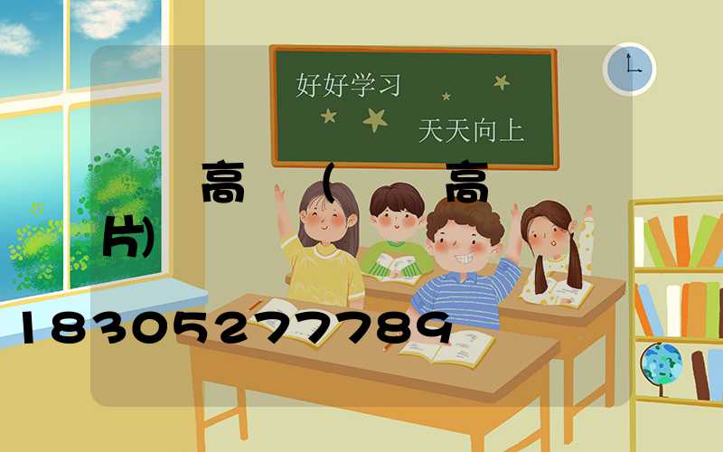 圓盤高桿燈(圓盤高桿燈圖片)